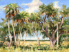 Myakka Gold 12"x16"